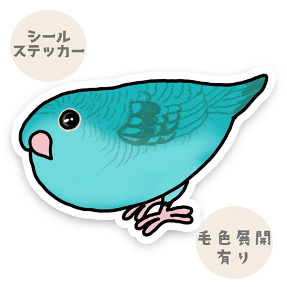 様子をうかがうサザナミインコちゃん。