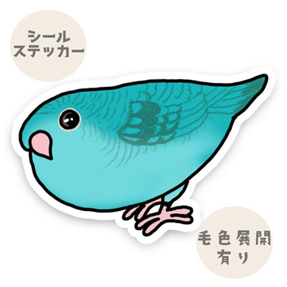 様子をうかがうサザナミインコちゃん。