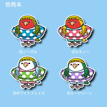 プールに入りたいコザクラインコちゃん。