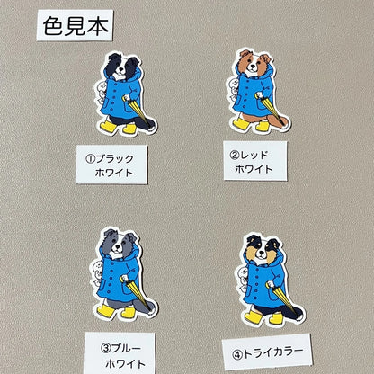 晴れてほしいボーダーコリーさん。106-