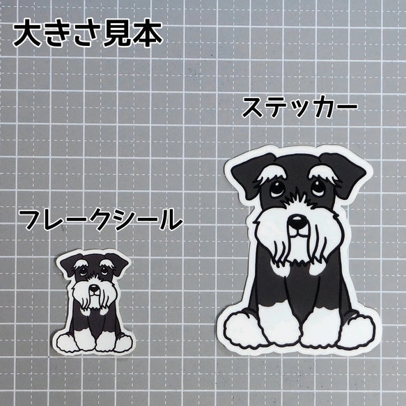 おすわりしてるシュナウザーちゃん。44-2