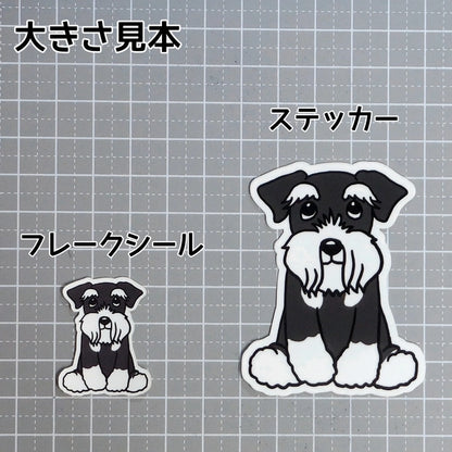 おすわりしてるシュナウザーちゃん。44-2