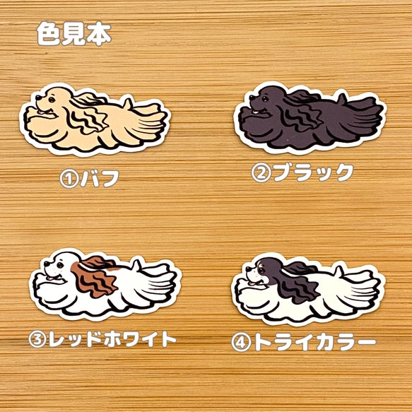 飛んでるアメコカちゃん。5-12