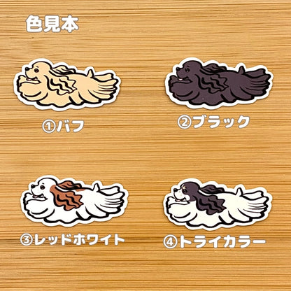 飛んでるアメコカちゃん。5-12