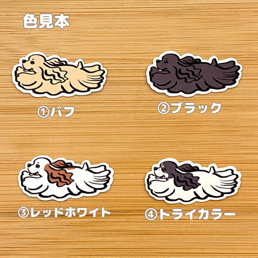 飛んでるアメコカちゃん。5-12