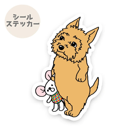おりこうさんでお留守番してるノーリッチテリアちゃん。74-