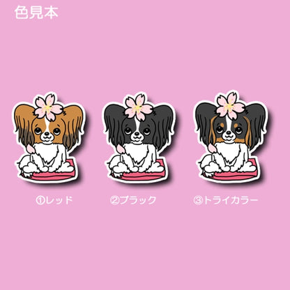 パピヨンちゃんの春のご挨拶。80-
