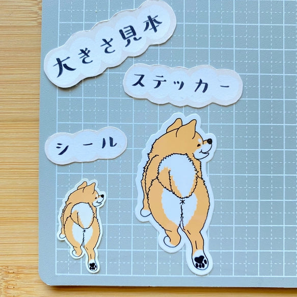 首輪が外れちゃったシバ犬さん。39-7