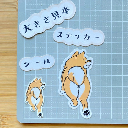 首輪が外れちゃったシバ犬さん。39-7