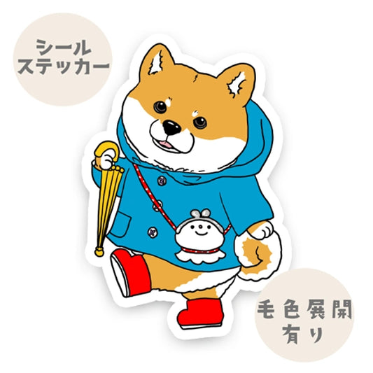 晴れてほしいシバちゃん。39-3
