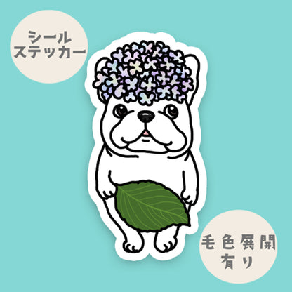 紫陽花の葉っぱ隊のフレブルちゃん。96−543