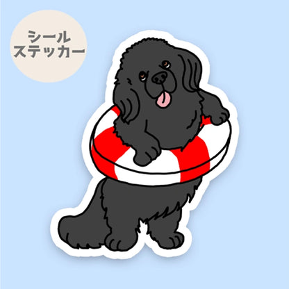 泳ぎたいニューファンドランドさん。72-