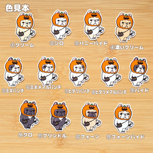 トリックオアトリートに緊張してるフレブルちゃん。96−327