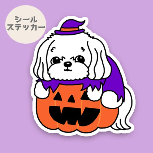 オバケカボチャとマルチーズちゃん。109-