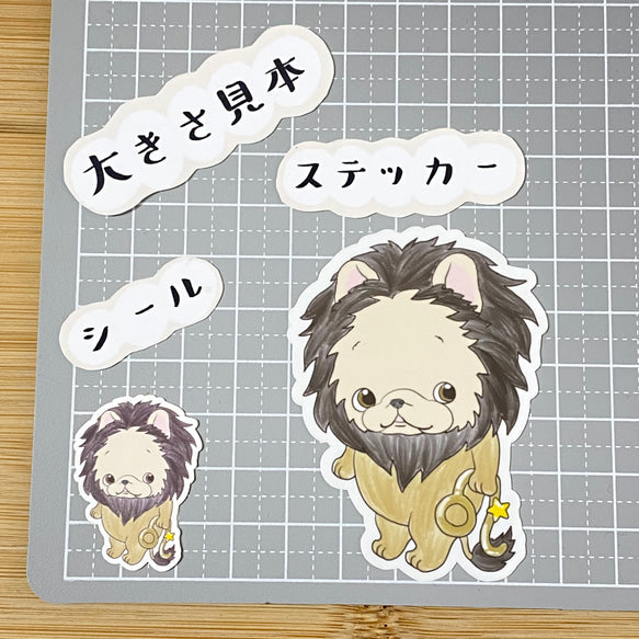 獅子座のフレブルちゃん。96−262