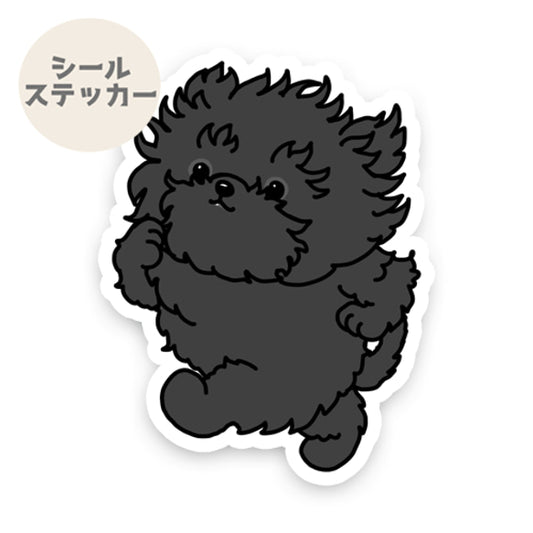 ランしてるアーフェンピンシャーちゃん。1-4