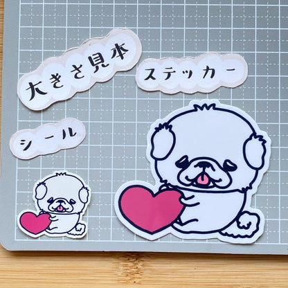 キモチを伝えたいペキニーズちゃん。　97-