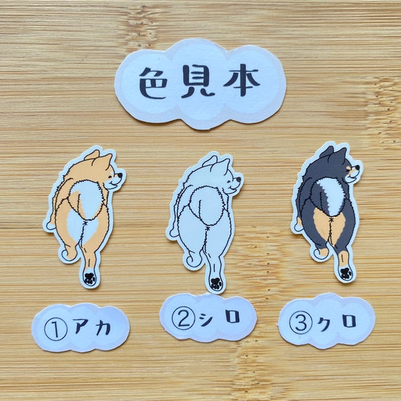 首輪が外れちゃったシバ犬さん。39-7