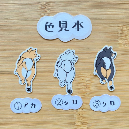 首輪が外れちゃったシバ犬さん。39-7