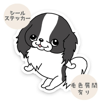 かわいい狆ちゃん。66-4