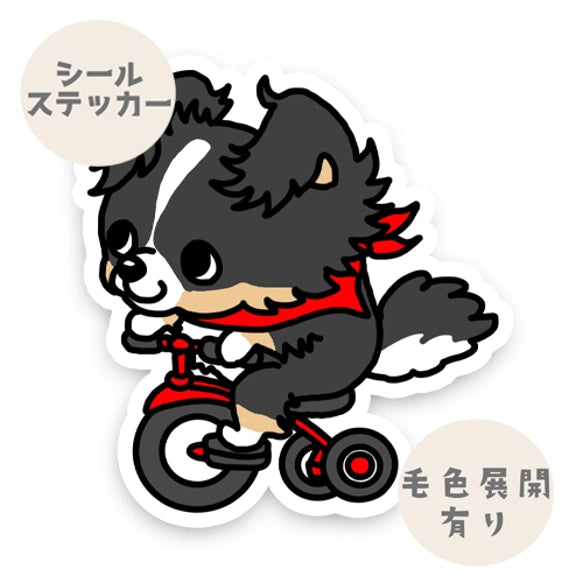 三輪車で走り続けるチワマルちゃん。63-2