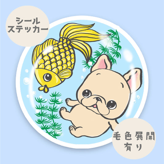金魚鉢の中のフレブルちゃん。96−294