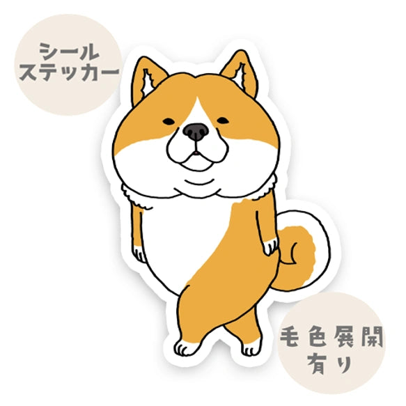 気づいたシバ犬さん。39-11