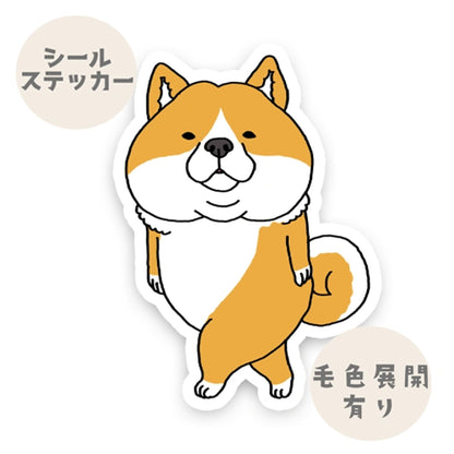 気づいたシバ犬さん。39-11