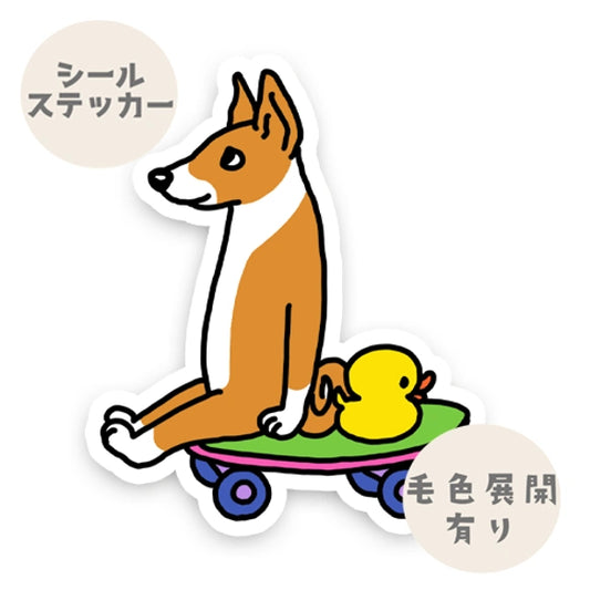誰か来ないかなーって待ってるバセンジーちゃん。78-