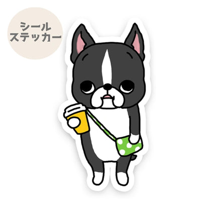 ぶらぶらショッピング中のボストンテリアちゃん。101-