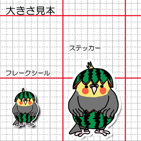 スイカオカメインコちゃん。