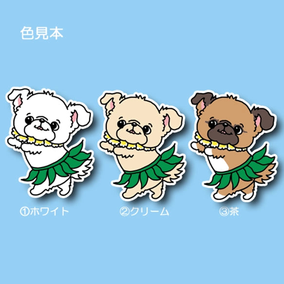 フラチワペキちゃん。62-8