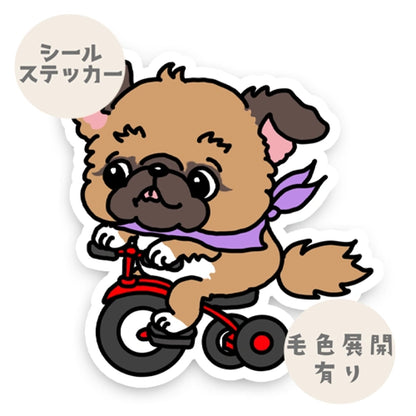 三輪車で走り続けるチワペキちゃん。62-3