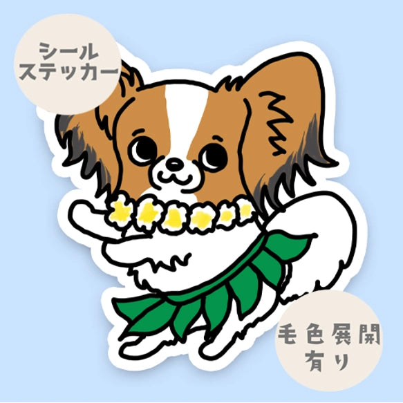 フラパピヨンちゃん。80-