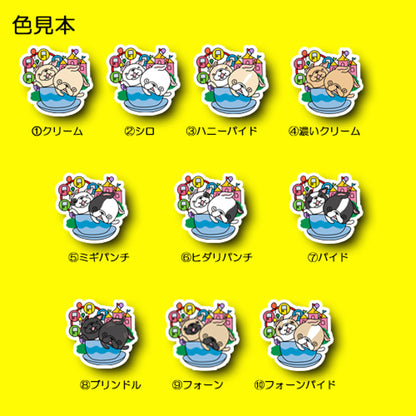 くるくるカップが楽しいフレブルちゃん。96−487