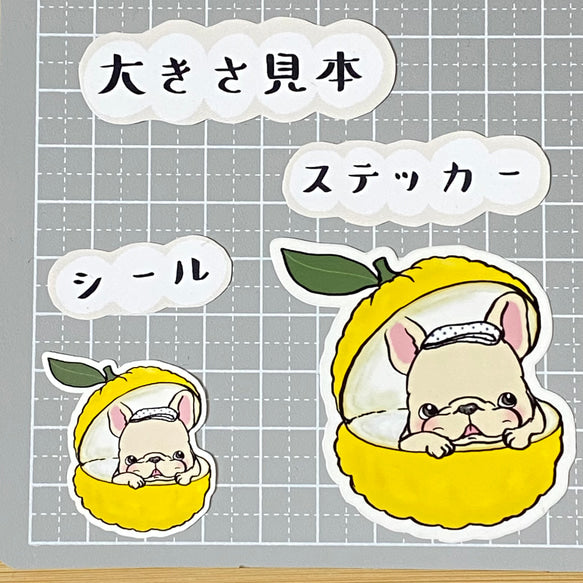 ゆず湯で暖まるフレブルちゃん。96−194