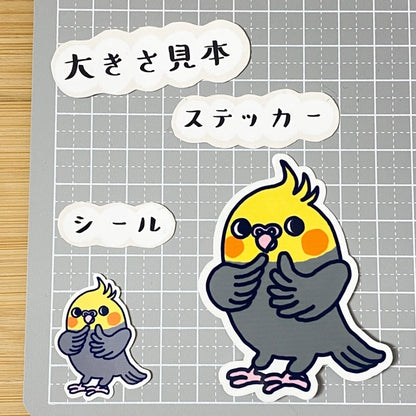 かわいいオカメインコちゃん。