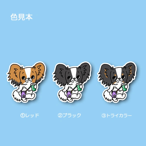 おでかけパピヨンちゃん。80-