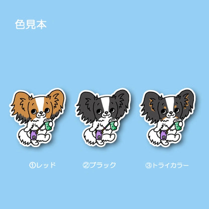 おでかけパピヨンちゃん。80-