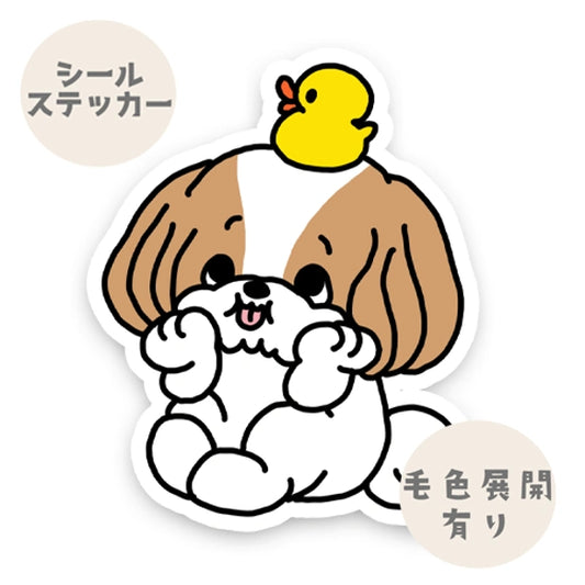 考えてるシーズーちゃん。35-4