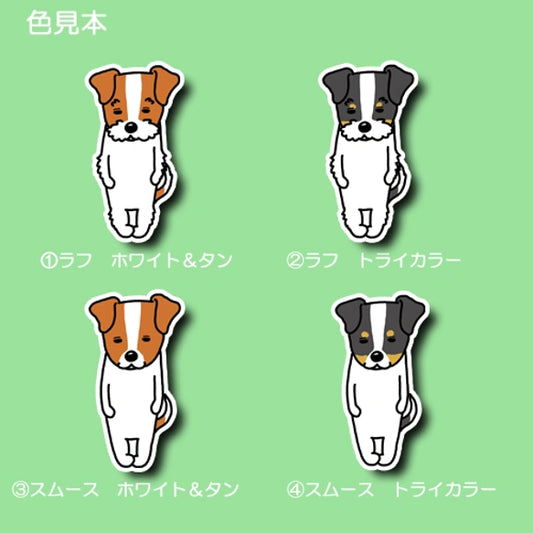 無のジャックラッセルちゃん。42-4