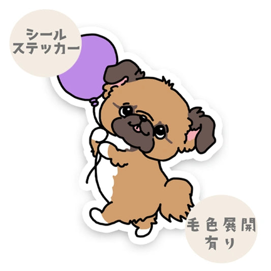 風船もらったチワペキちゃん。62-1