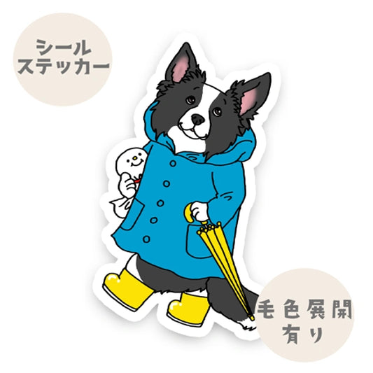 晴れてほしい立ち耳ボーダーコリーさん。106-